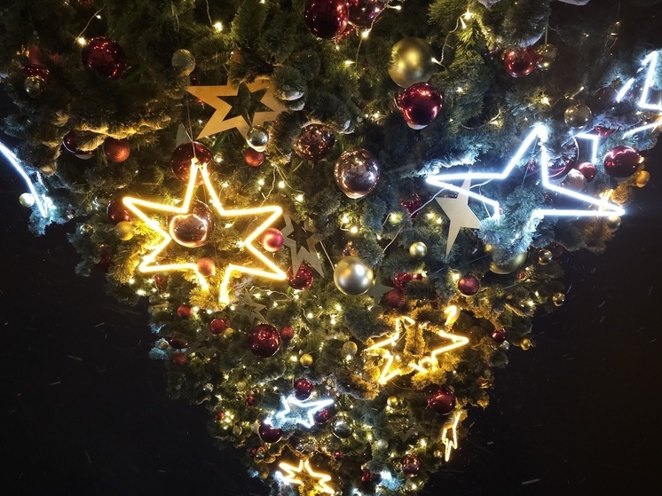 Новосибирцы всё чаще встречают Новый год в самолётах и поездах