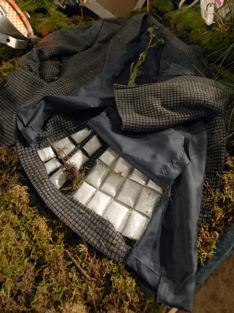 Во время антинаркотического рейда в Италии полиция задержала 384 человека