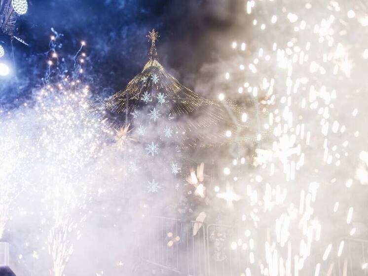 Глава Ельца прокомментировал победу города в конкурсе «Город молодёжи»