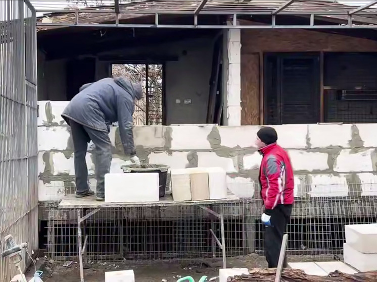 Лев Нео восстановился после обстрела зоопарка в Васильевке