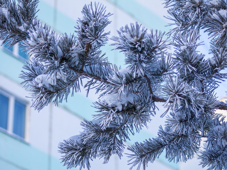 21 декабря в Новосибирске ожидается резкое ночное похолодание до -28 градусов