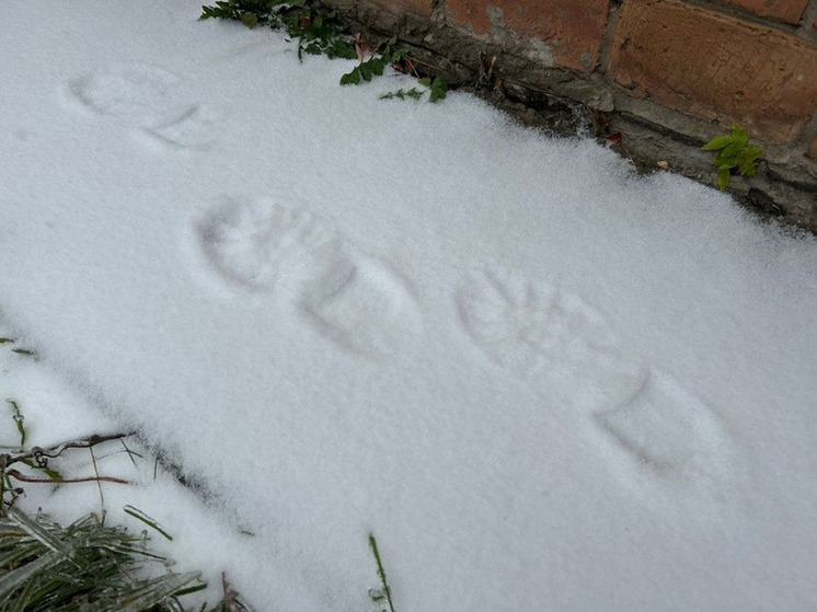 На Алтае пропала 18-летняя девушка