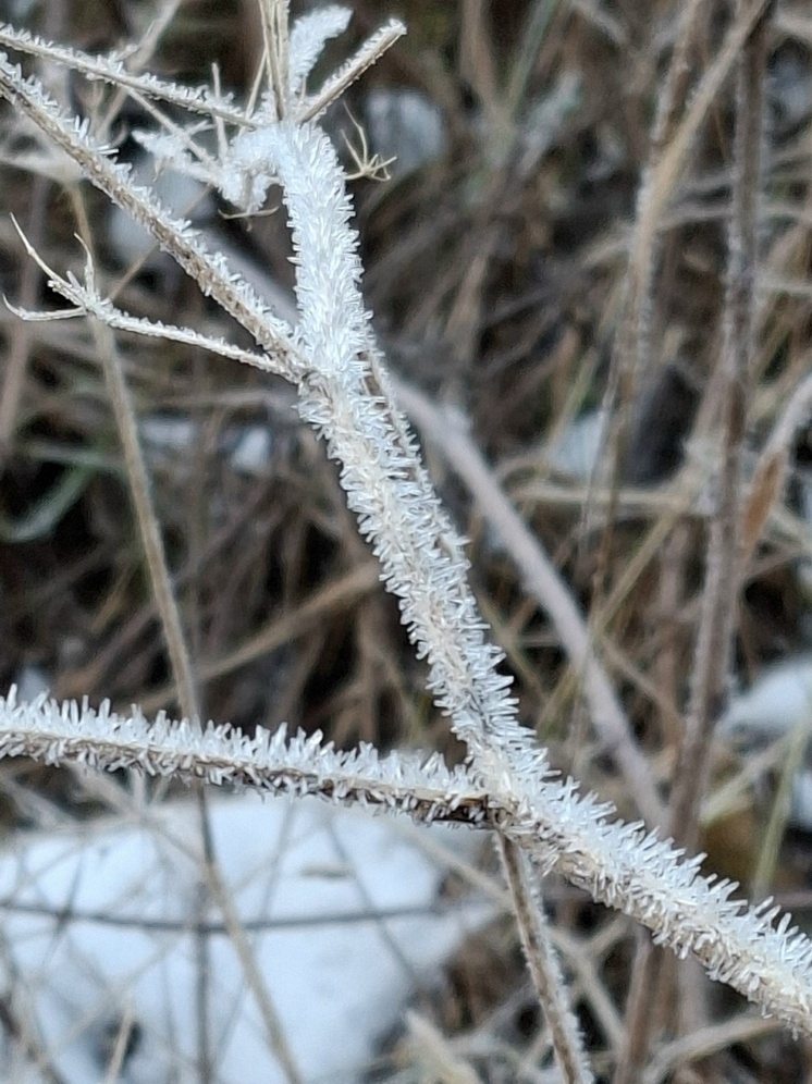 Погодные приметы 21 декабря: что предвещает погода в День зимнего солнцестояния