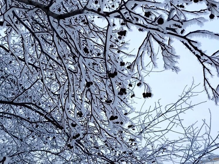 Сильные морозы пришли в Омскую область