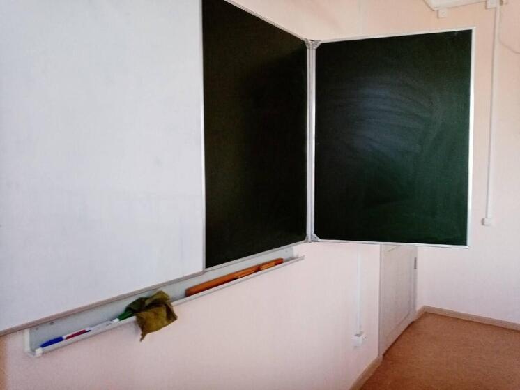 Ученица омской школы пожаловалась на плесень на стенах