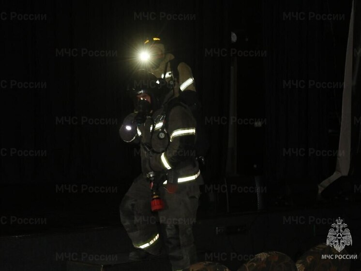 Гараж и надворные постройки сгорели в Шилке