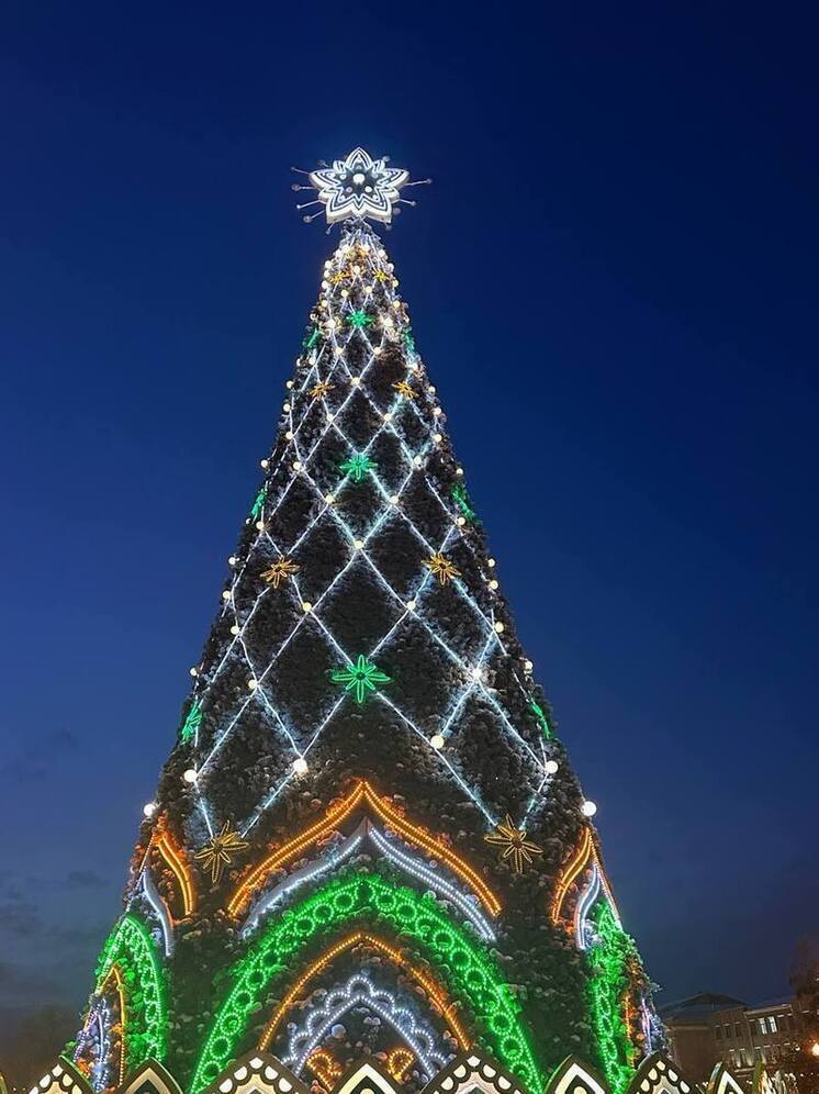 В Иркутске зажгли огни на главной елке в сквере Кирова