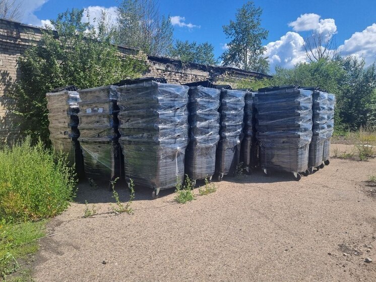 Недостачу в 4,7 млн рублей выявили в закупке мусорных контейнеров в Чите