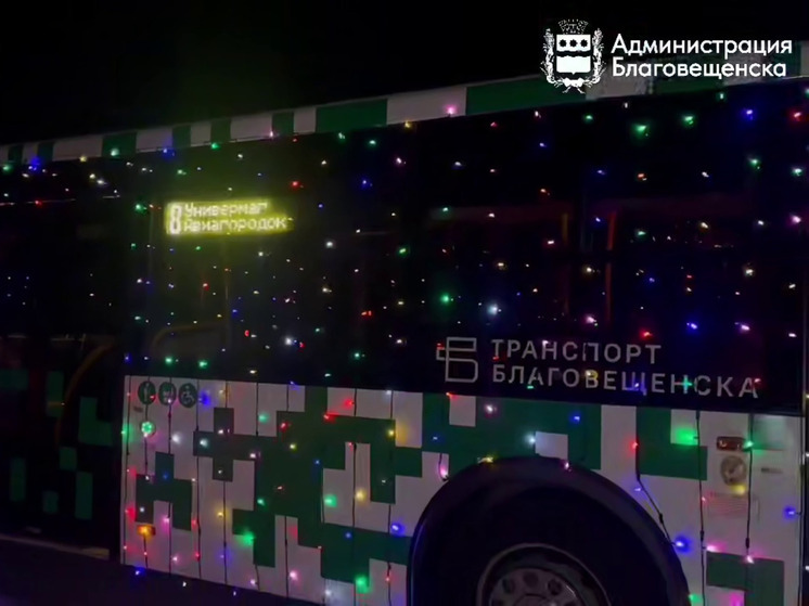 Автобусы Благовещенска украсили к Новому Году