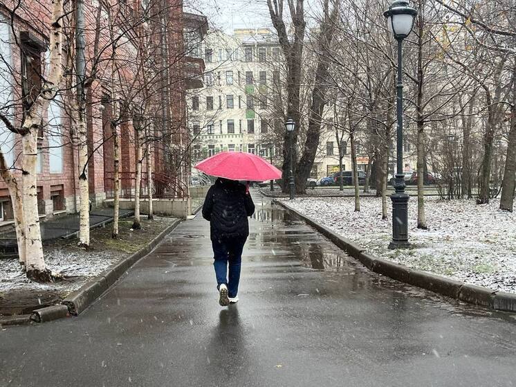 В Северной столице спрогнозировали теплый день перед резким похолоданием