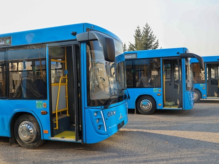 Приморье планирует пополнить автобусный парк на 77 единиц в 2026 году