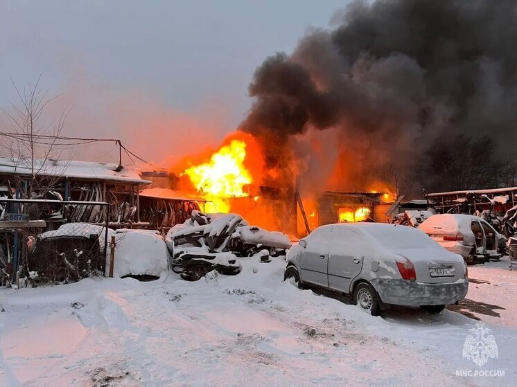 В Челябинске сгорел автосервис