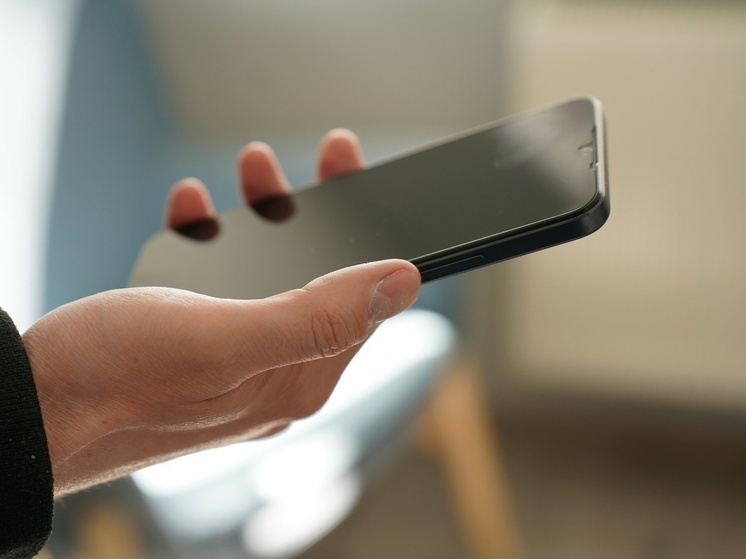 Смартфоны туляков в 2026 году зарегистрируют в единой базе IMEI