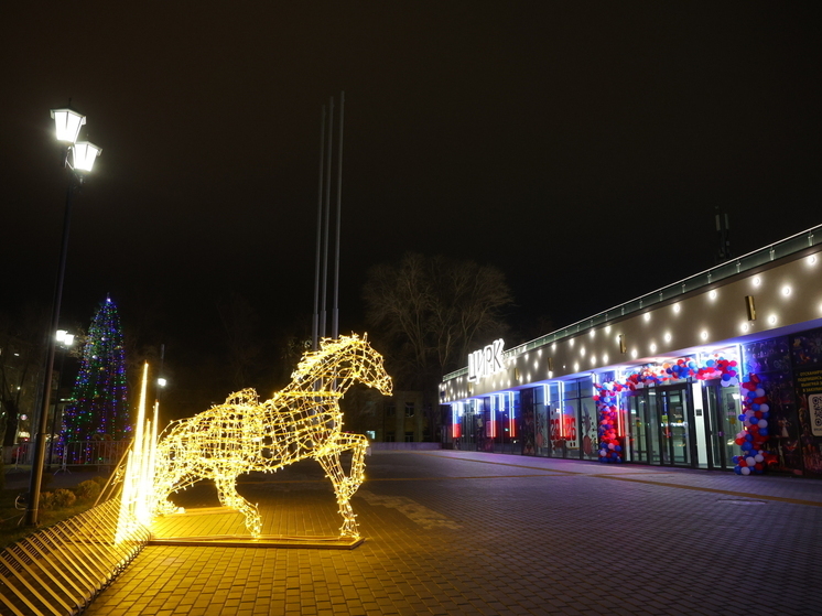 Волгоградцы встретили самый короткий день 2025 года