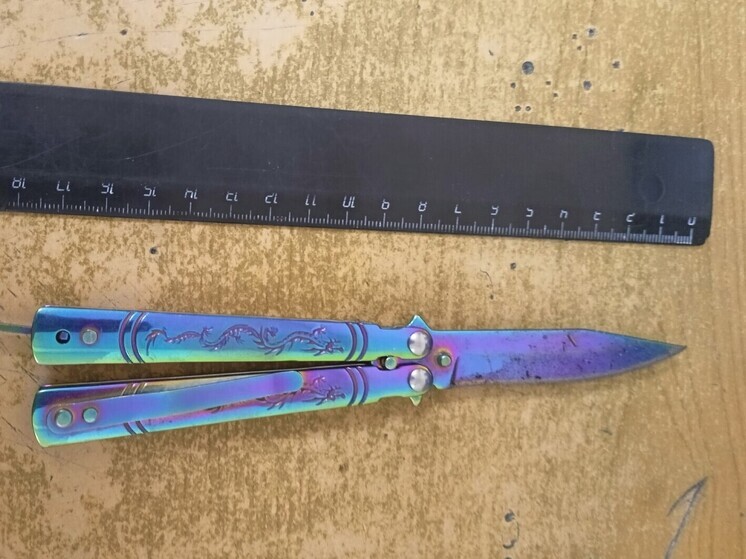 Алтайского сельчанина поймали на попытке пронести нож в здание суда