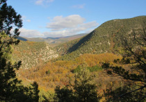 На старой римской дороге мы далеко не впервые: ходили с околицы села Родникового по пологой тропе мимо памятника партизанам. В этот раз решили посетить площадку у Скельской пещеры и лестницу на склоне