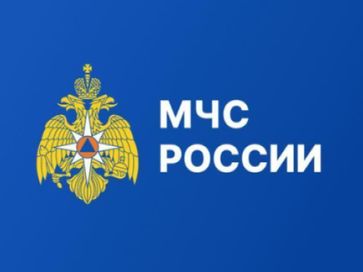 МЧС предупреждает о штормовом ветре и метели в северных регионах Якутии