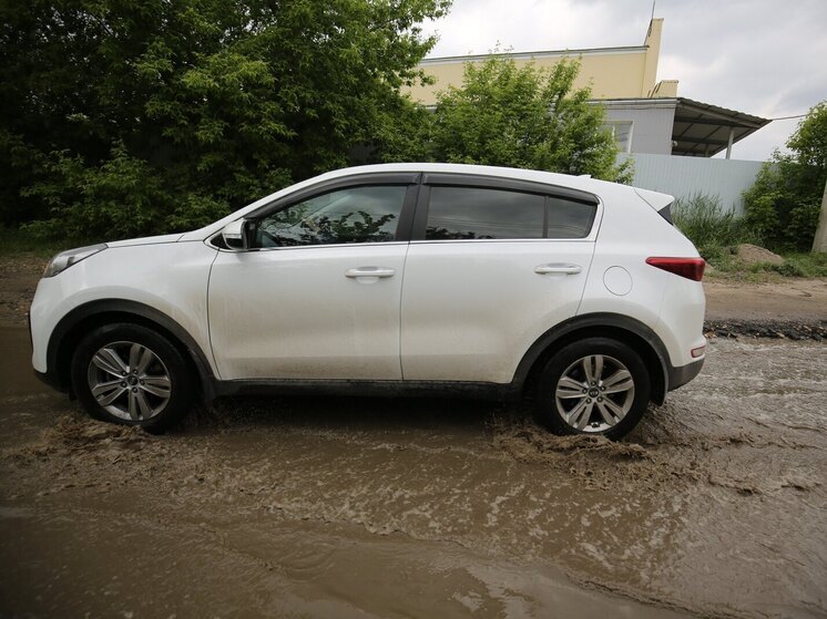Кроссоверы и внедорожники стали доступнее для жителей Волгоградской области