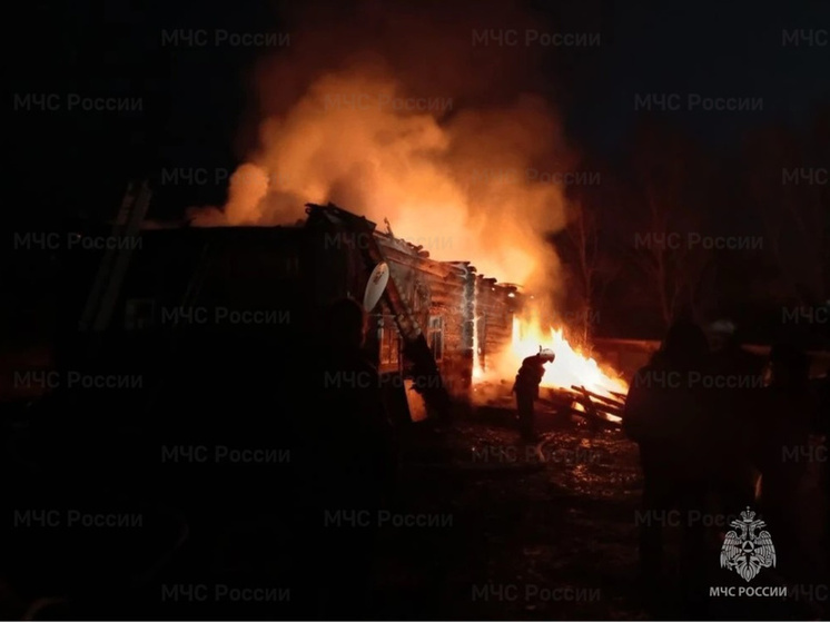 В брянском поселке Алешинка сгорел жилой дом