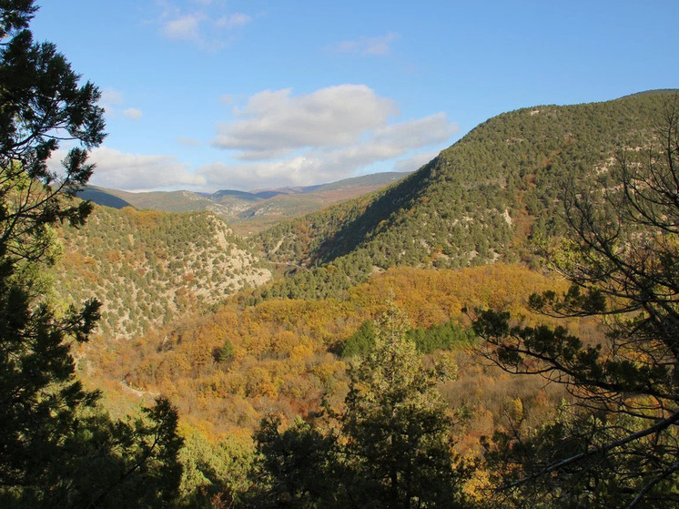На старой римской дороге мы далеко не впервые: ходили с околицы села Родникового по пологой тропе мимо памятника партизанам. В этот раз решили посетить площадку у Скельской пещеры и лестницу на склоне