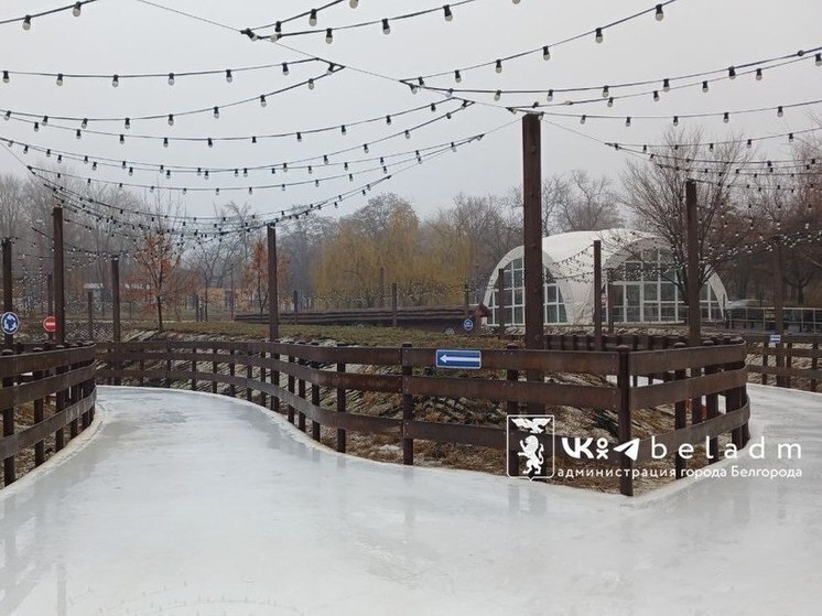 В Белгороде открыли ледовые дорожки в Центральном парке и Есенинский каток