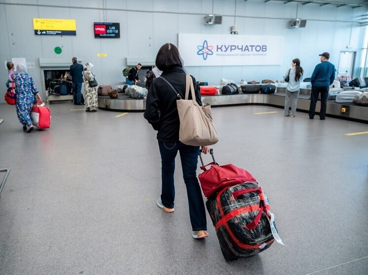 В Думе предложили создать единый стандарт ручной клади