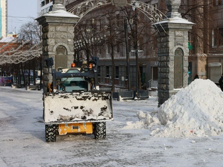 Сегодня в Челябинске снег убирает 219 специальных машин