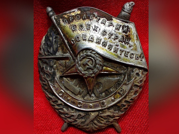 В этом году поисковики нашли в новгородских лесах останки 1570 павших бойцов