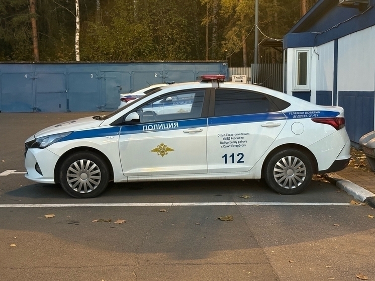 Жительницу Железногорска арестовали за отказ предъявить документы полиции