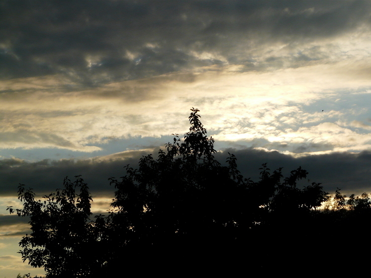 Как расширился реестр недвижимости в Поморье и НАО в 2025 году?