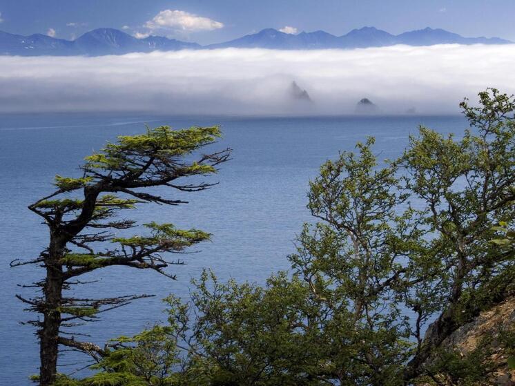 Аналитик Хаттори: благодаря западным санкциям Россия создала собственные платформы и сервисы