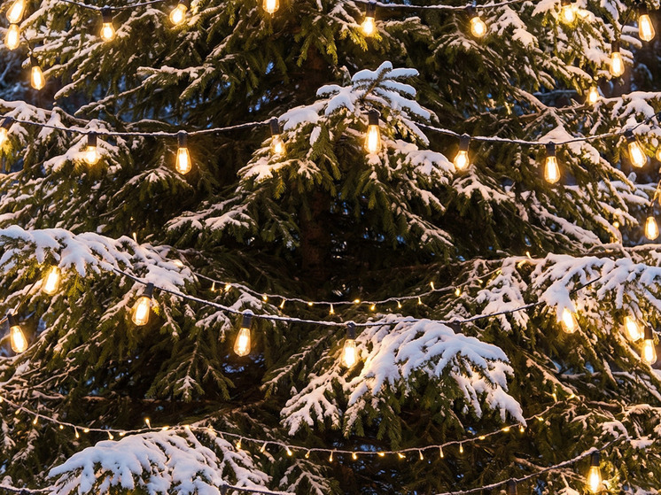 Воронежцам рассказали, как безопасно выбрать гирлянды