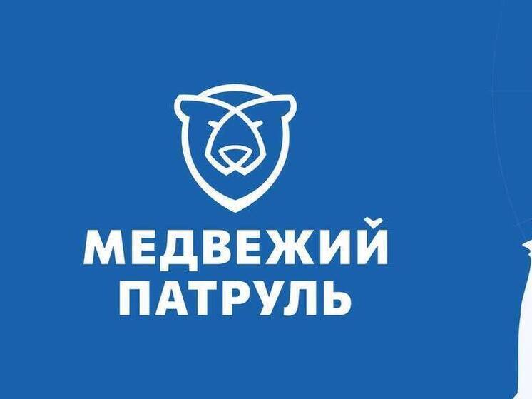 Официальный медвежий патруль хотят ввести к 2026 году на Ямале