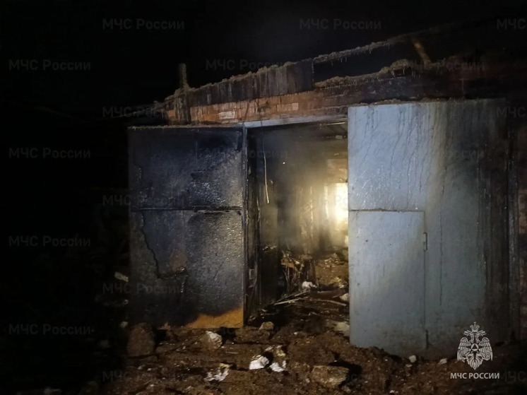 Ожоги рук и лица при пожаре получил 25-летний житель Борзи