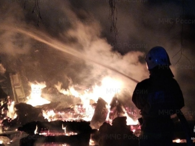 Огонь уничтожил дом в екатеринбургском СНТ