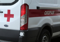 Стали известны новые детали трагедии в подмосковной Сходне 20 декабря, где после взрыва регенеративного патрона в рюкзаке погиб школьник, а его товарищ и случайная прохожая были госпитализированы