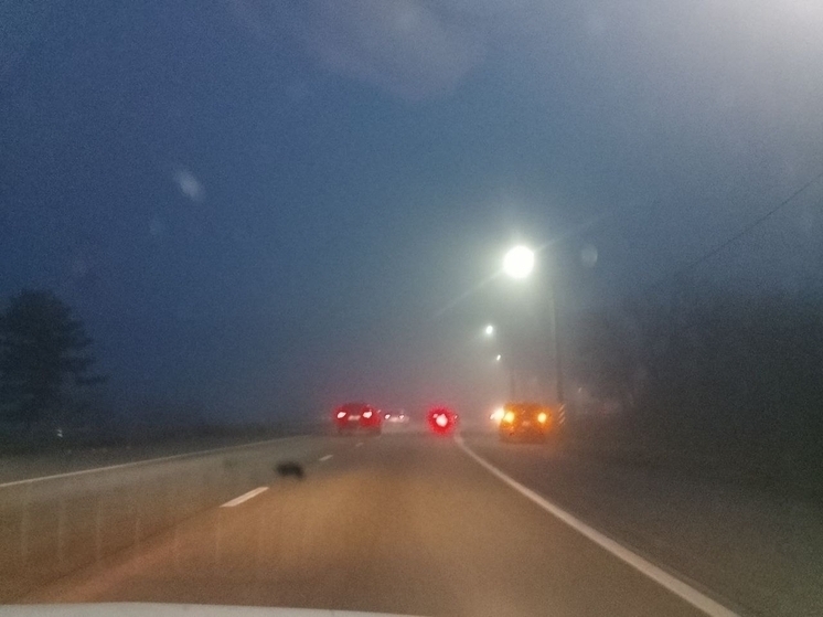 В Ростовской области объявлен желтый уровень погодной опасности