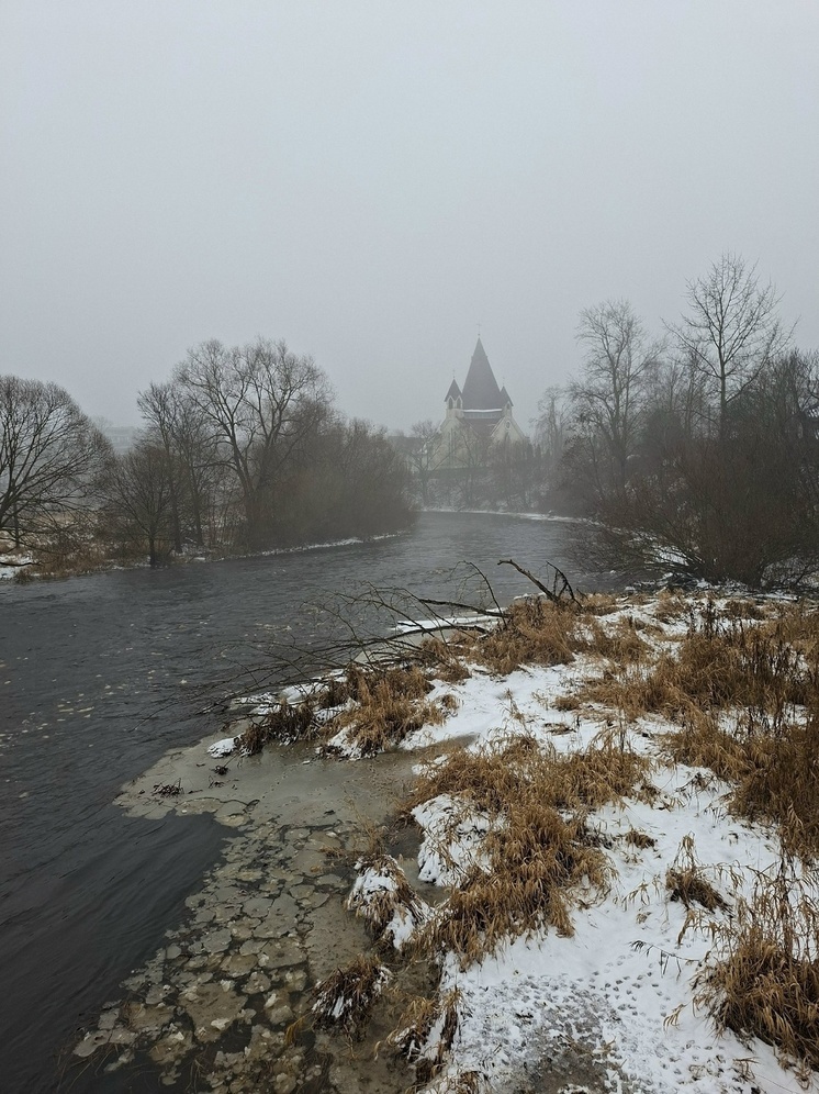 С дождя и снега начнется следующая неделя для псковичей