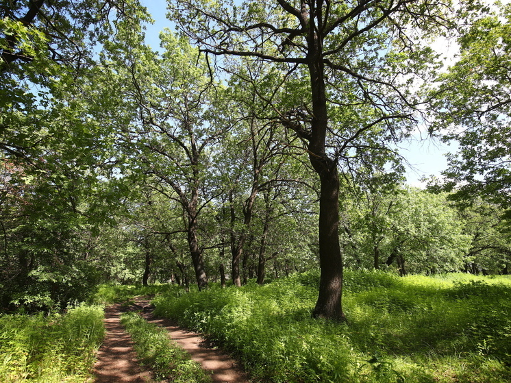 Гостями волгоградских природных парков стали более 200 тысяч туристов