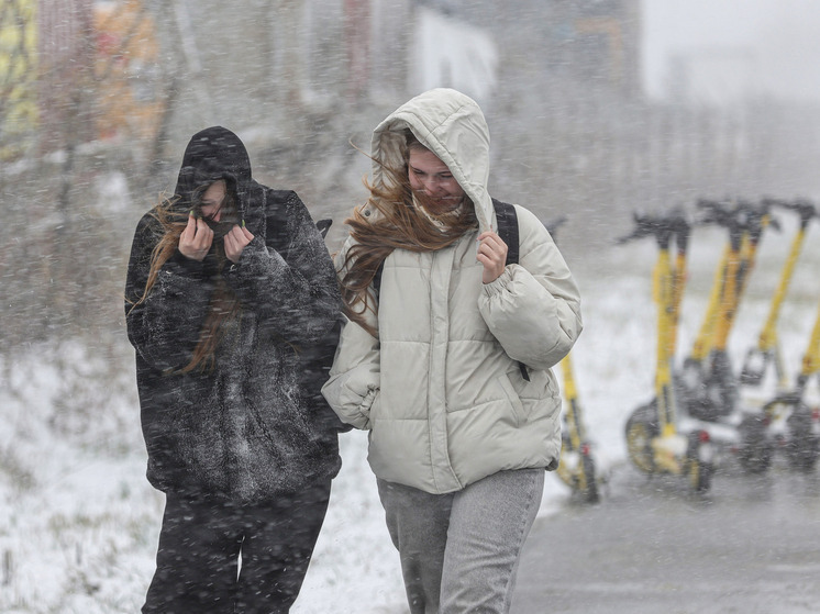 Синоптик Позднякова сообщила о погоде в Москве в январе