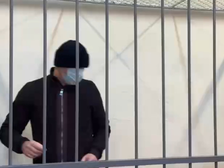 Суд в Петербурге заключил под стражу обвиняемого в убийстве стюардессы в Дубае