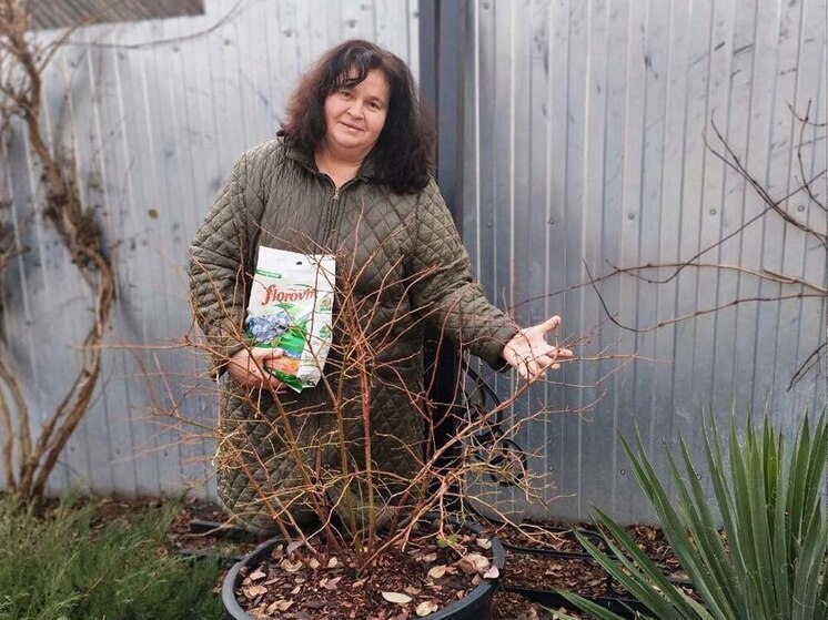 Жительница Ракитного подписала соцконтракт для выращивания голубики