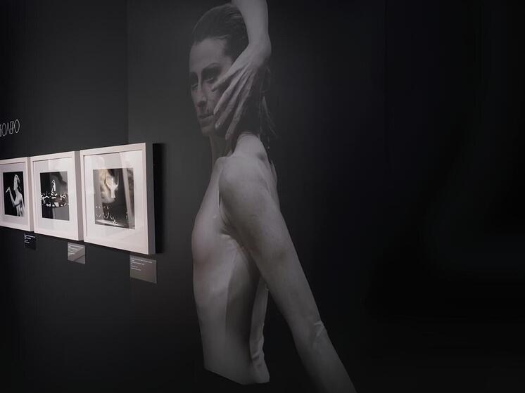 Более 300 экспонатов о жизни и творчестве Майи Плисецкой представили в Туле