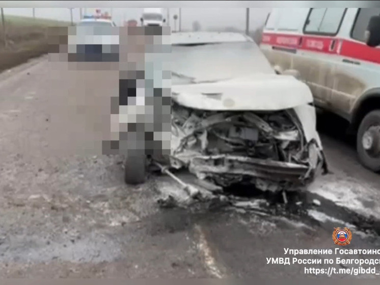 В Корочанском округе при столкновении иномарок один человек погиб и двое пострадали