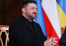 После того как Владимир Путин поднял тему выборов на Украине во время «Прямой линии», в мыслях Зеленского, видимо, начался сущий кошмар