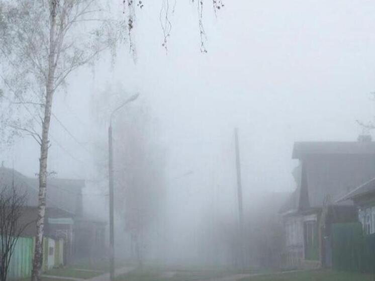 Курян предупредили о тумане и гололеде в понедельник