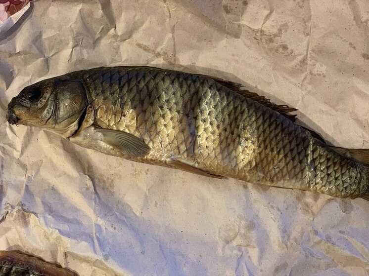 В Пензе и области выросли цены на соленую рыбу