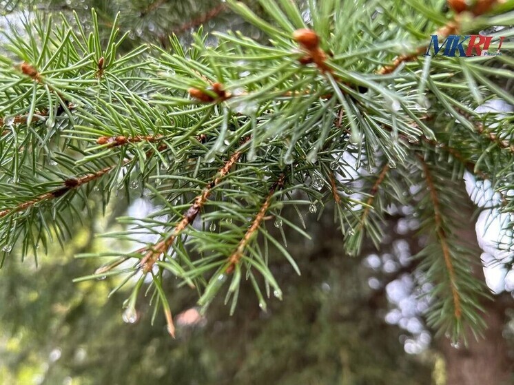 21 декабря световой день в Рязанской области продлится 7 часов 15 минут