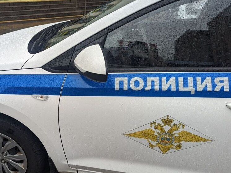 Газелист мог задремать и съехать в кювет при перевозке детей в Волховском районе