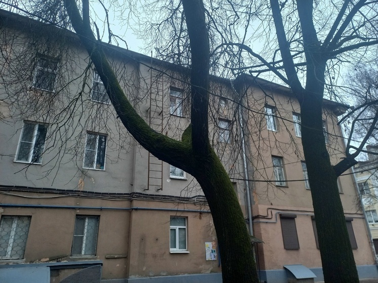 В Великом Новгороде впервые за 70 лет отремонтировали подвал дома XIX века
